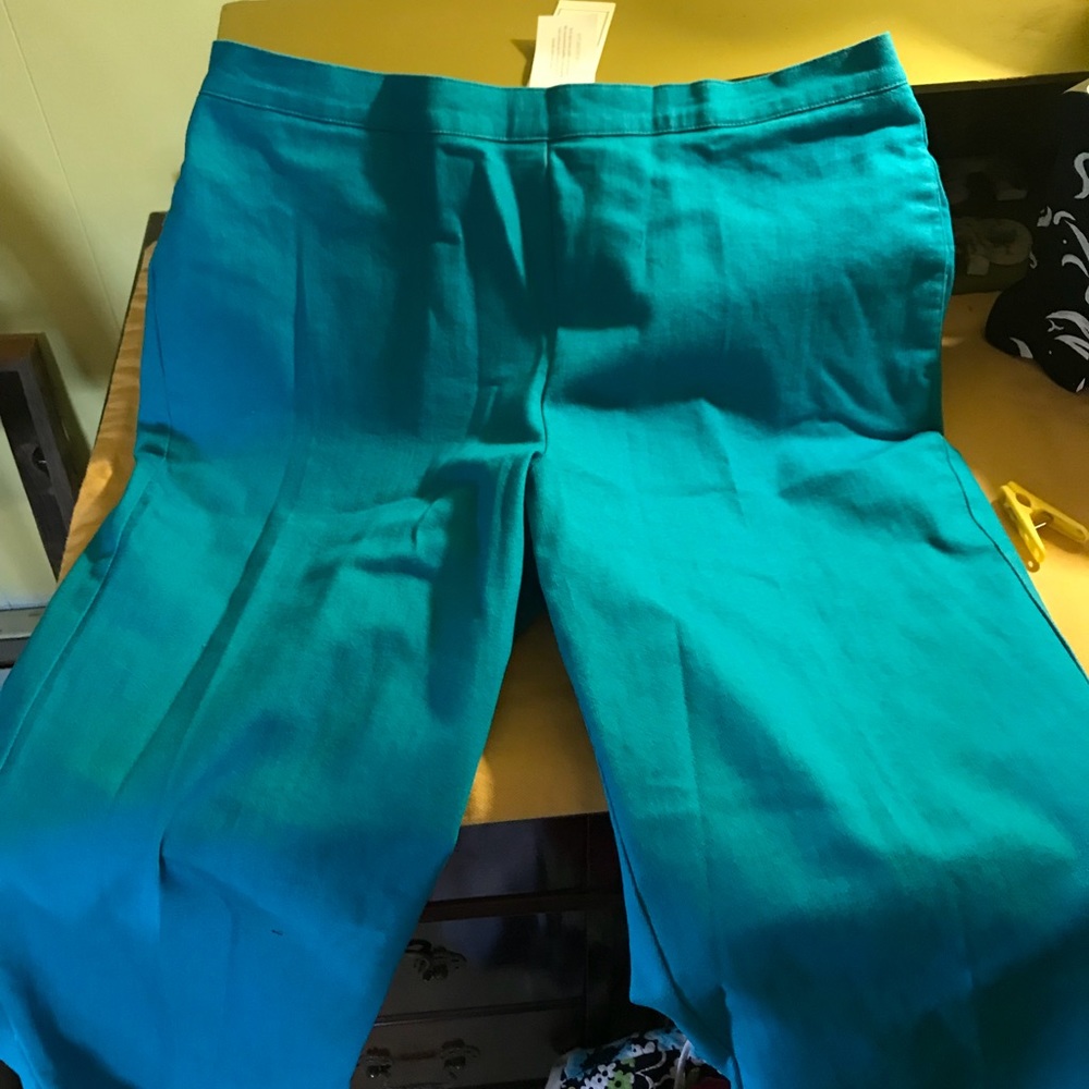 Turquoise elastic back proportioned short fit